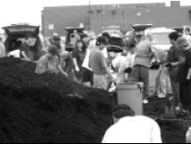 Environment Day
